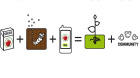 Cycle La graine & le compost