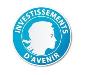 Investissements d'Avenir