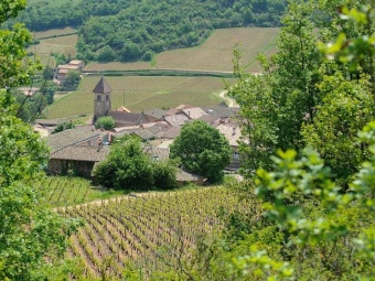 source : developpement-durable.gouv.fr