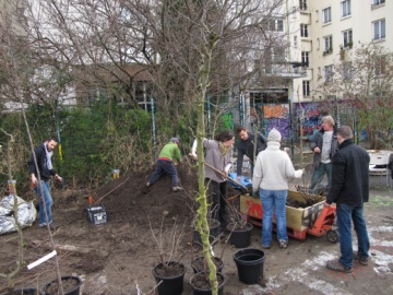 Culture d'un jardin partagé