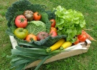 Légumes frais